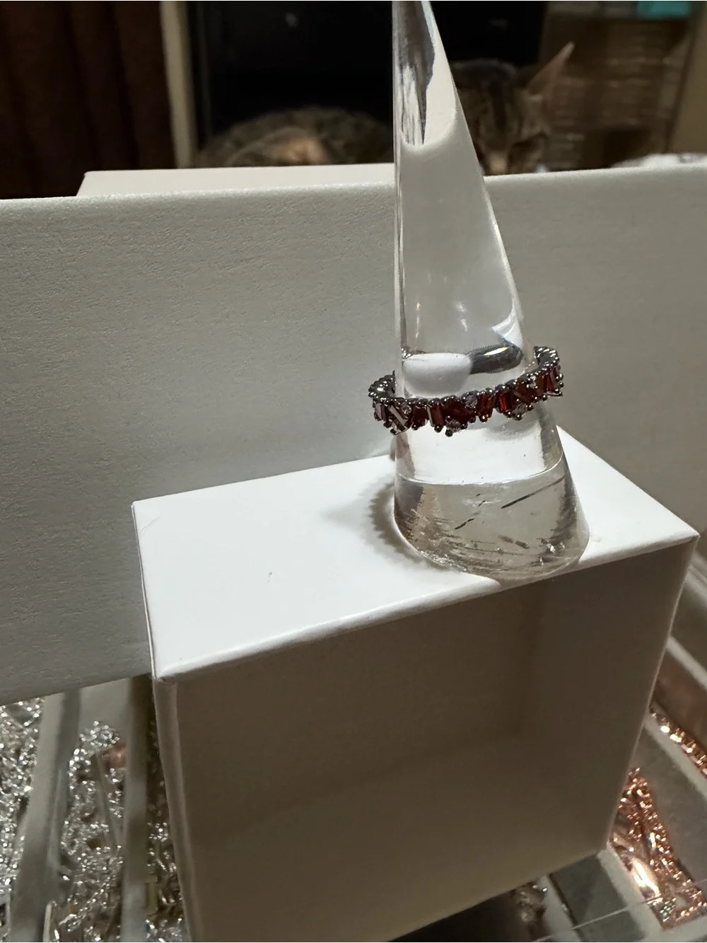 Jan 26: Hematite and Garnet Band